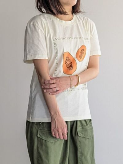 タグ付未使用✨TICCA 現行レースフレンチシャツ セール】【TICCA / ティッカ】レースフレンチシャツ（シャツ